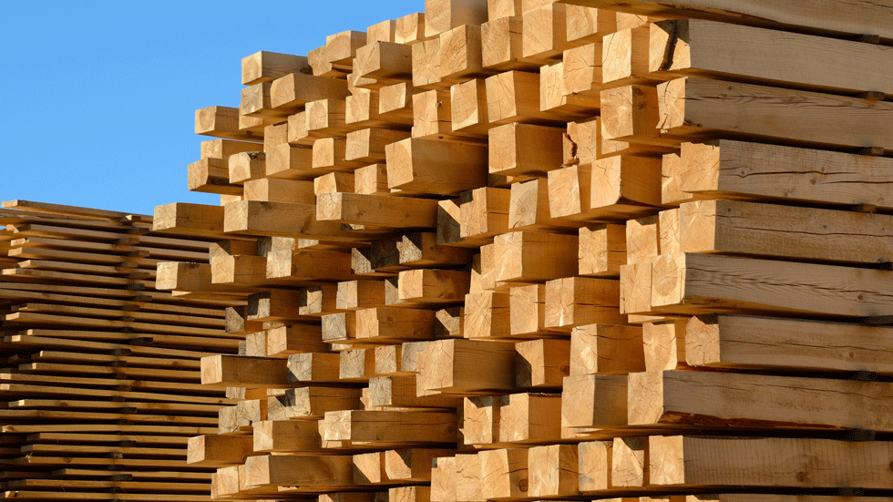 Cikonielf Localisateur de poinçons droits pour le travail du bois